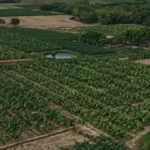 AGRO.jpg