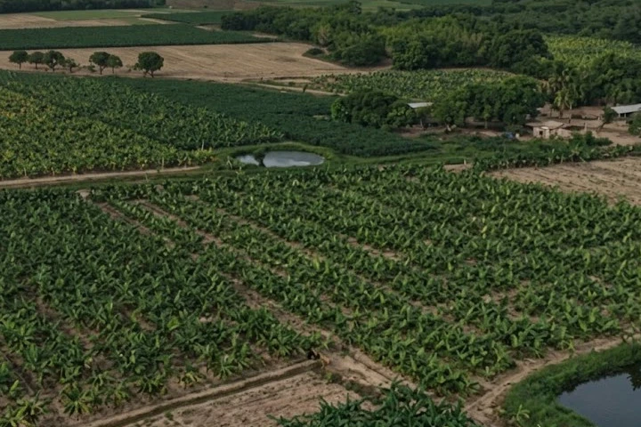 AGRO.jpg