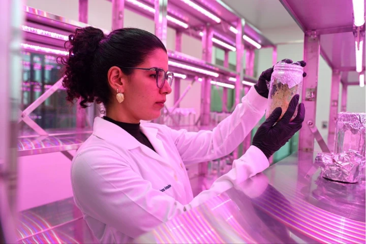 Biotecnologia