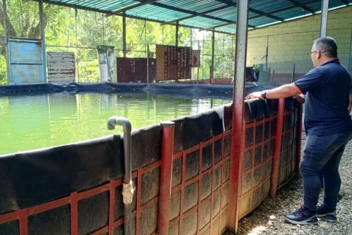 COMUNAS-1.jpg