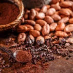Cacao_banner_1400x