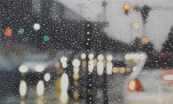 Gotas-de-lluvia-Dibujos-realistas-de-Elizabeth-Patterson-2