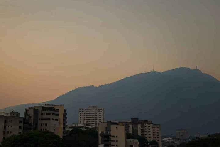 POLVO.jpg