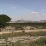 Parque_Nacional_Cerro_Saroche_003