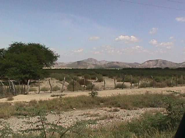 Parque_Nacional_Cerro_Saroche_003