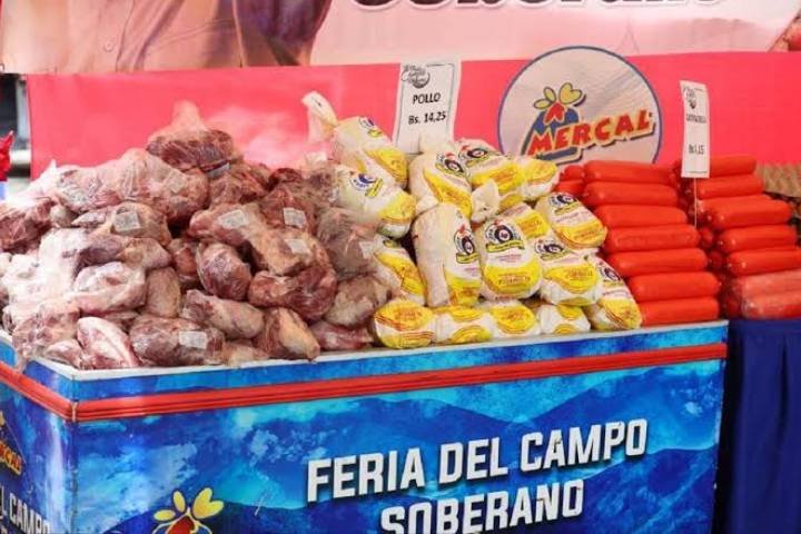 Proyecto-nuevo-89