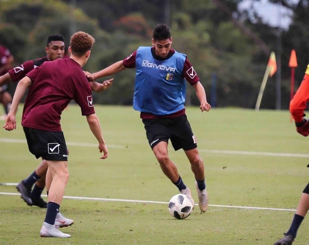 vinotinto-1