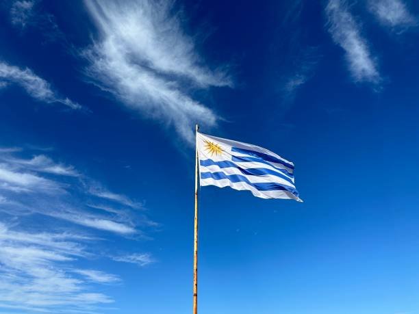 Bright colours, no other objects, just the sky and the flag